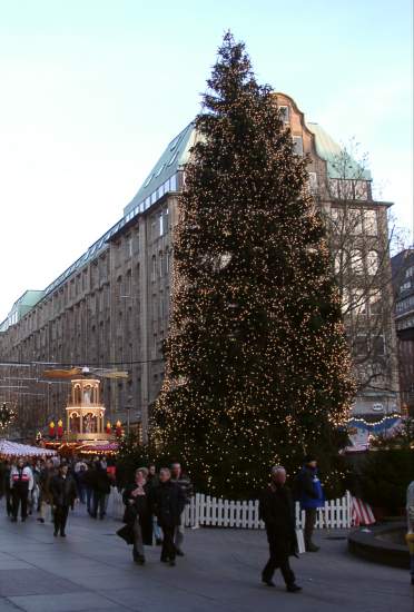 Weihnachtsbaum am Mnckebrunnen (Hamburg)