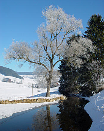 Bei Langenordnach - Schwarzwald