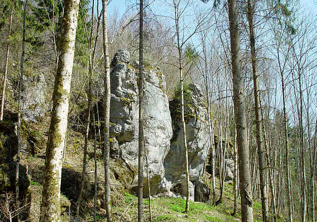 Felsen im Wasserburger Tal