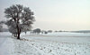 Winterlandschaft (bei Ehingen)