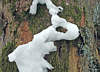 Schneeskulptur