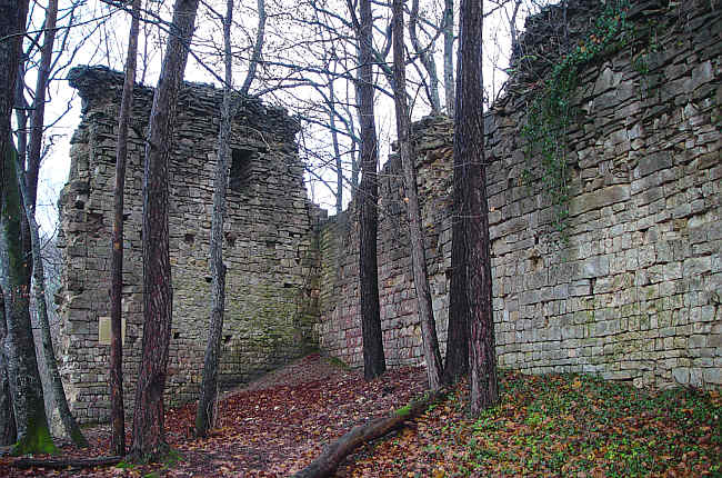 Ruine der Tudoburg