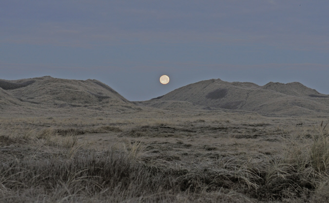 Mond über den Dünen (Dänemark)