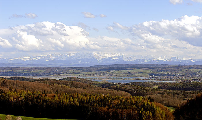 Blick über Reichenau und Untersee